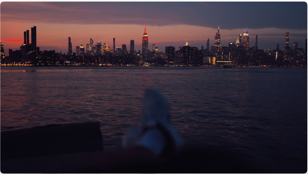 YF LUTs ( + sfx, film mattes, iphone luts, presets)